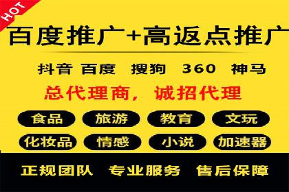 行业领先企业的SEM优化之路